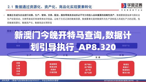 新澳门今晚开特马查询,数据计划引导执行_AP8.320