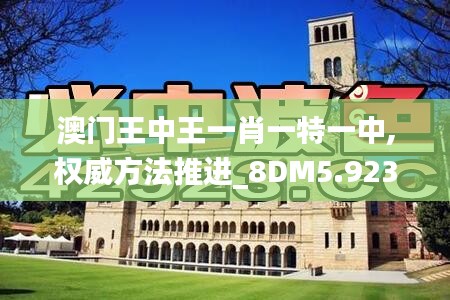 澳门王中王一肖一特一中,权威方法推进_8DM5.923