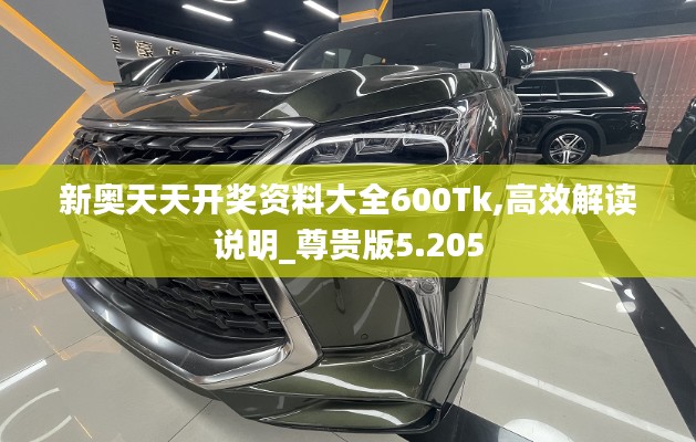 新奥天天开奖资料大全600Tk,高效解读说明_尊贵版5.205