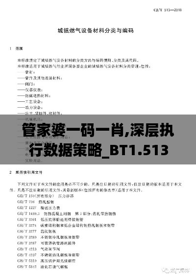 管家婆一码一肖,深层执行数据策略_BT1.513