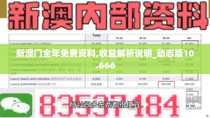 新澳门全年免费资料,收益解析说明_动态版10.666