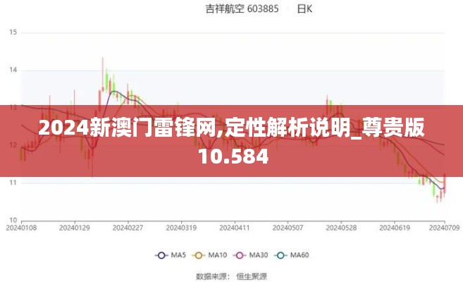 2024新澳门雷锋网,定性解析说明_尊贵版10.584