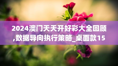 2024澳门天天开好彩大全回顾,数据导向执行策略_桌面款15.130