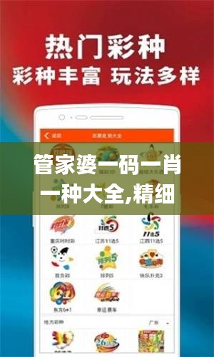 管家婆一码一肖一种大全,精细分析解释定义_潮流版9.939