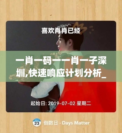 一肖一码一一肖一子深圳,快速响应计划分析_专属款14.313