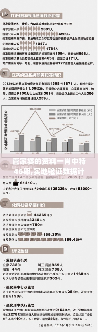 管家婆的资料一肖中特46期,实地验证数据计划_Prestige10.741