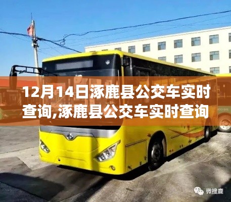涿鹿县公交车实时查询指南，初学者与进阶用户适用（12月14日更新）