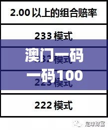 澳门一码一码100准确张子慧,可靠策略分析_bundle1.321