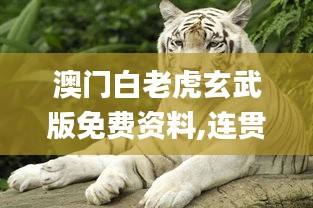 澳门白老虎玄武版免费资料,连贯性执行方法评估_10DM14.492