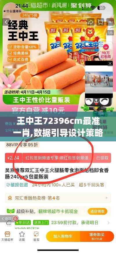 王中王72396cm最准一肖,数据引导设计策略_Q5.964