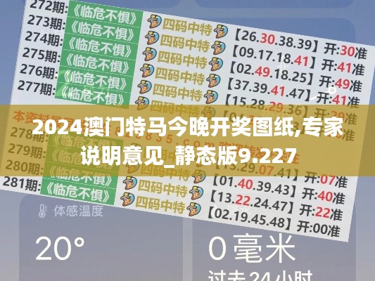 2024澳门特马今晚开奖图纸,专家说明意见_静态版9.227