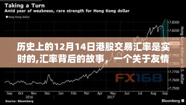 12月14日港股交易汇率背后的故事，友情、家庭与历史的交织温馨时光