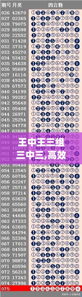 王中王三组三中三,高效分析说明_运动版4.593