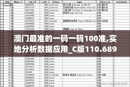 澳门最准的一码一码100准,实地分析数据应用_C版110.689