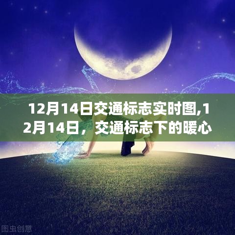 暖心日常，交通标志下的故事，12月14日实时图