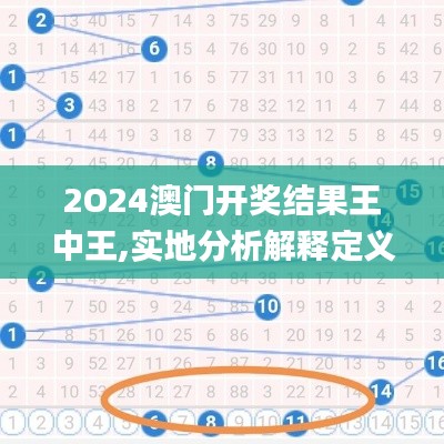 2O24澳门开奖结果王中王,实地分析解释定义_运动版6.747