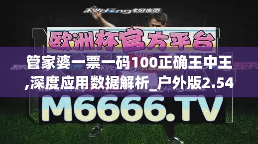 管家婆一票一码100正确王中王,深度应用数据解析_户外版2.545