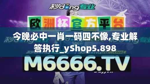 今晚必中一肖一码四不像,专业解答执行_yShop5.898