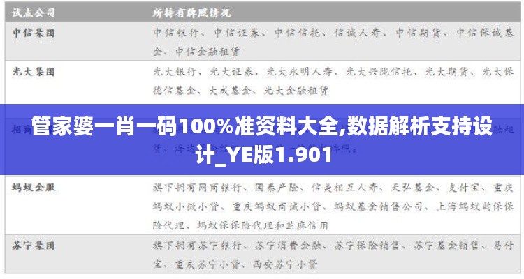 管家婆一肖一码100%准资料大全,数据解析支持设计_YE版1.901