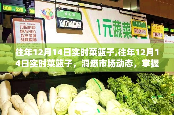往年12月14日菜篮子市场实时动态，洞悉新鲜食材与市场走势