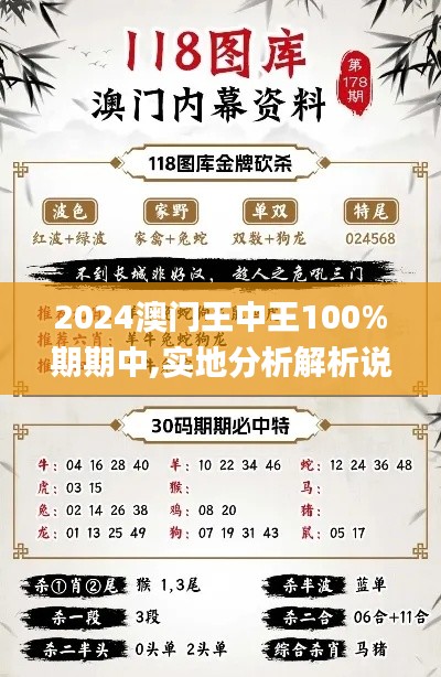 2024澳门王中王100%期期中,实地分析解析说明_专业款13.408