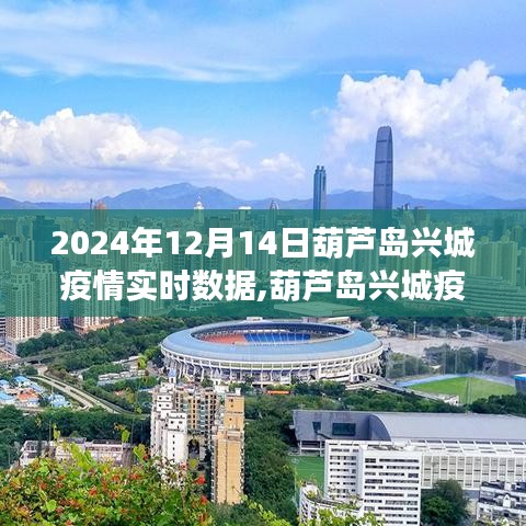 葫芦岛兴城疫情实时数据观察报告，以2024年12月14日为观察点的新思考