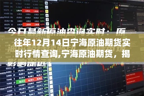 揭秘往年12月14日宁海原油期货实时行情背后的故事及市场走势分析。