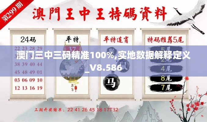 澳门三中三码精准100%,实地数据解释定义_V8.586