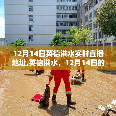英德洪水灾难，实时直播与时代的记忆，12月14日回顾