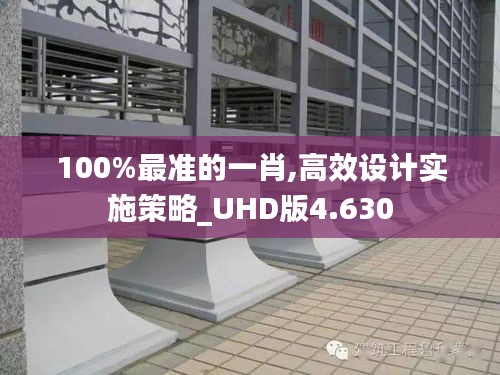 100%最准的一肖,高效设计实施策略_UHD版4.630
