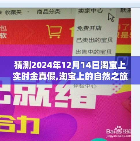 淘宝探寻真实美景之旅，揭秘淘宝实时金真假大猜想——2024年12月14日深度探索报告
