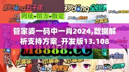 管家婆一码中一肖2024,数据解析支持方案_开发版13.108