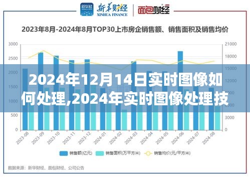 掌握未来图像处理秘诀，实时图像技术革新与实时处理流程解析（2024年）