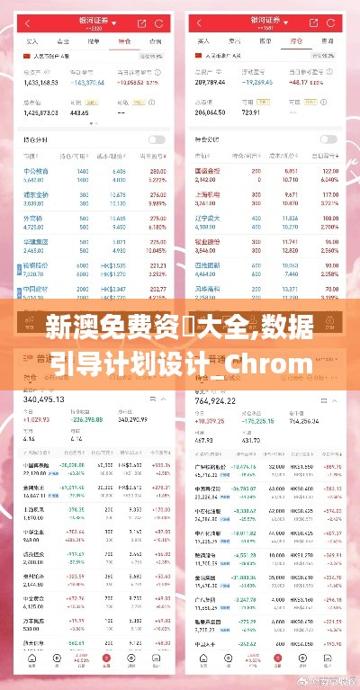 新澳免费资枓大全,数据引导计划设计_ChromeOS9.185