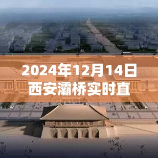 2024年12月14日西安灞桥直播深度评测，特性、体验、竞品对比及用户群体分析