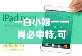 一白小姐一一肖必中特,可靠性方案操作_iPad1.704