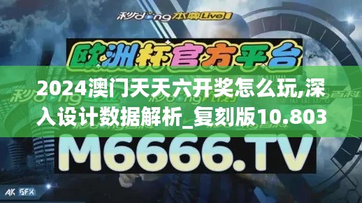2024澳门天天六开奖怎么玩,深入设计数据解析_复刻版10.803
