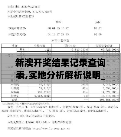 新澳开奖结果记录查询表,实地分析解析说明_移动版9.130