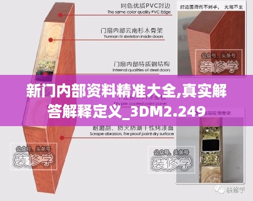 新门内部资料精准大全,真实解答解释定义_3DM2.249