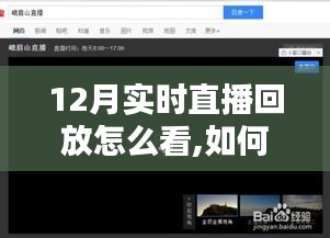 全面解析与观点阐述，如何观看12月实时直播回放