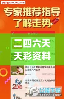 二四六天天彩资料大全网,实地数据评估策略_进阶版12.330