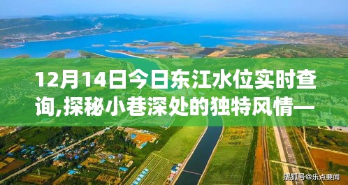 探秘东江水韵小店，今日东江水位实时查询与小巷深处的独特风情
