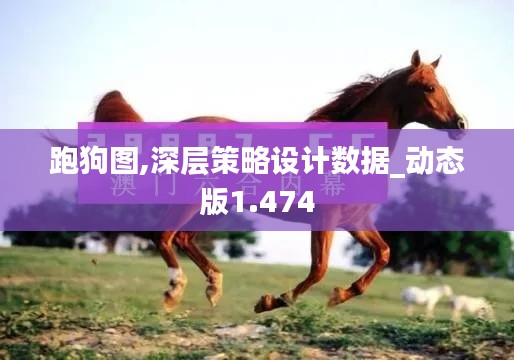 跑狗图,深层策略设计数据_动态版1.474