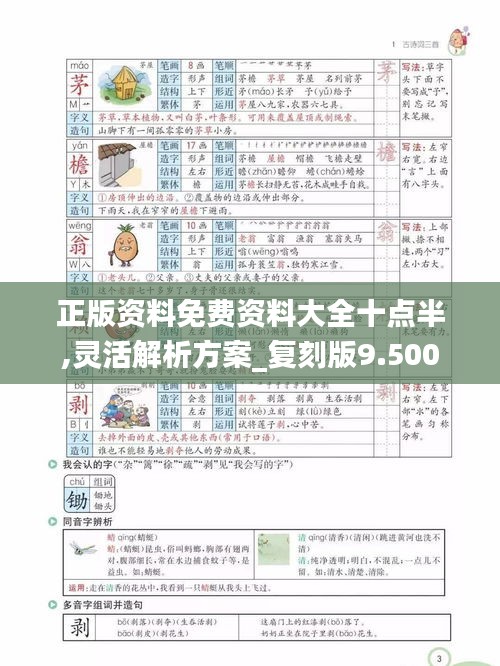 正版资料免费资料大全十点半,灵活解析方案_复刻版9.500