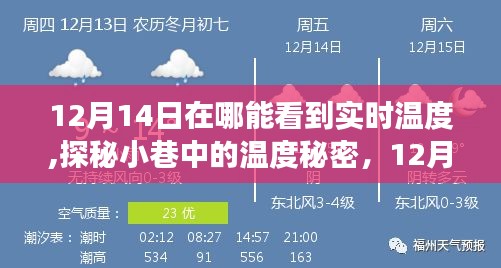 探秘小巷魔法小店，12月14日实时温度揭秘