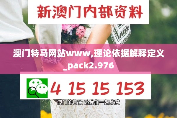 澳门特马网站www,理论依据解释定义_pack2.976