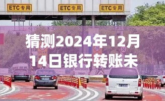 鸷鸟不群 第3页