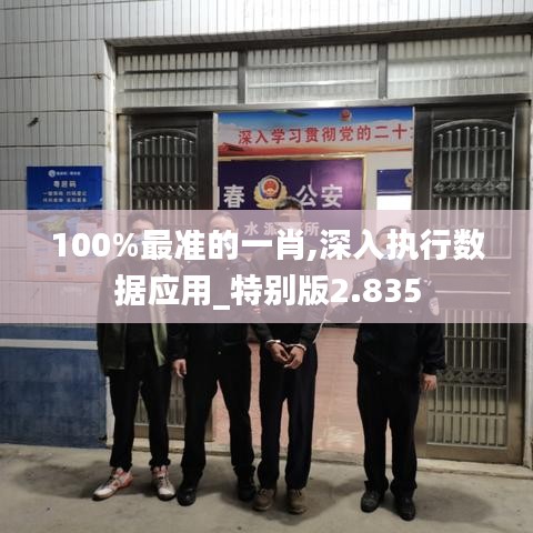 100%最准的一肖,深入执行数据应用_特别版2.835