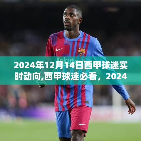 西甲球迷必看，深度解析2024年12月14日西甲球迷实时动向报告