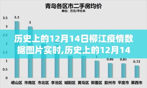 历史上的12月14日柳江疫情数据全面解读，特性、体验、竞品对比及用户群体分析图片实时展示